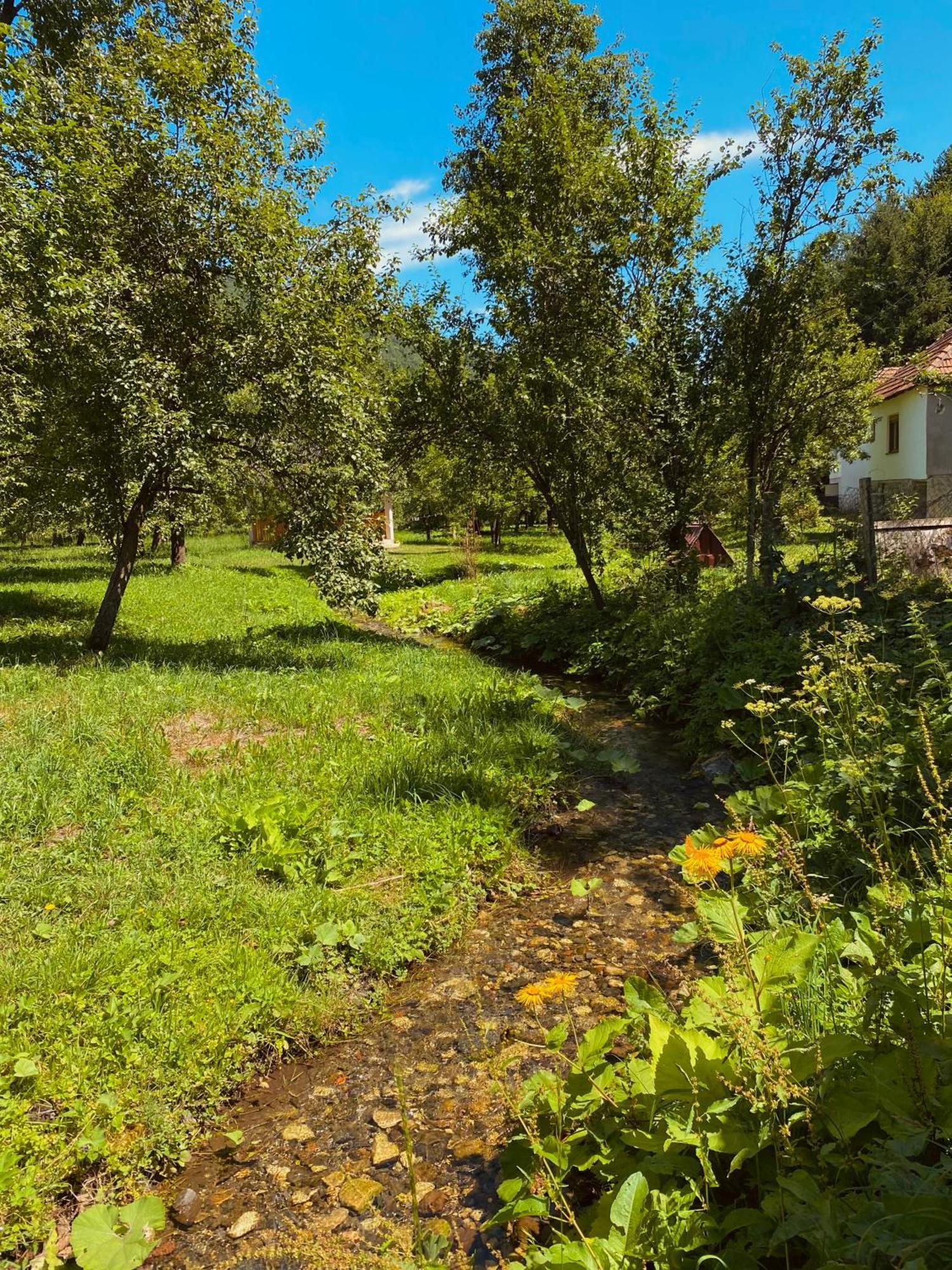 Farmstead Green Haven Mojkovac Exterior foto